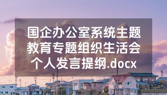 国企办公室系统主题教育专题组织生活会个人发言提纲.docx