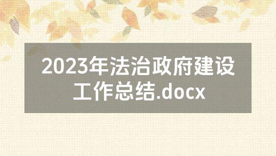 2023年法治政府建设工作总结.docx