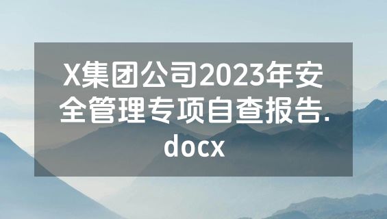 X集团公司2023年安全管理专项自查报告.docx
