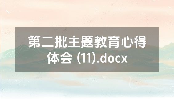第二批主题教育心得体会 (11).docx