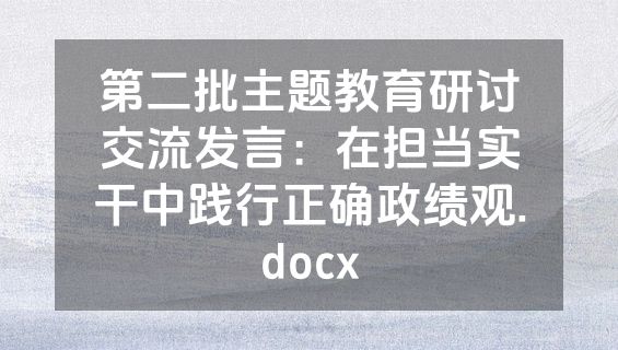 第二批主题教育研讨交流发言：在担当实干中践行正确政绩观.docx