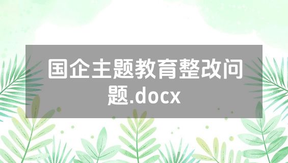 国企主题教育整改问题.docx