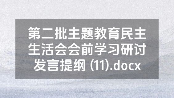 第二批主题教育民主生活会会前学习研讨发言提纲 (11).docx