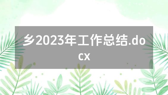 乡2023年工作总结.docx