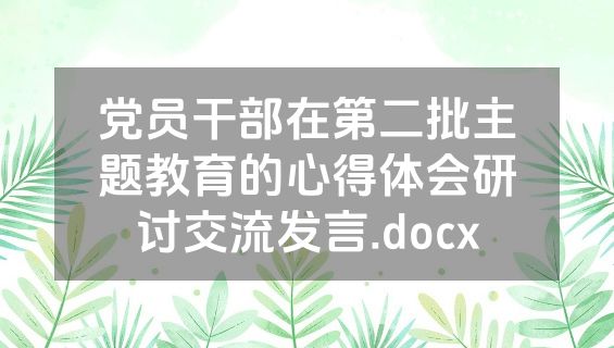 党员干部在第二批主题教育的心得体会研讨交流发言.docx