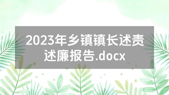 2023年乡镇镇长述责述廉报告.docx