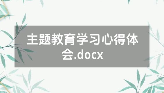 主题教育学习心得体会.docx
