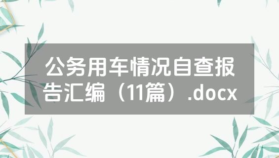 公务用车情况自查报告汇编（11篇）.docx