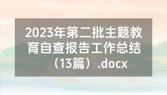 2023年第二批主题教育自查报告工作总结（13篇）.docx
