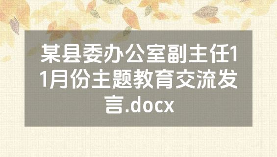某县委办公室副主任11月份主题教育交流发言.docx