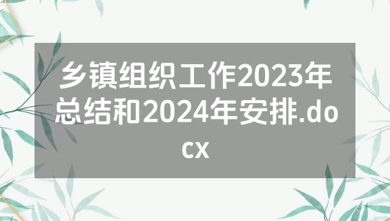 乡镇组织工作2023年总结和2024年安排.docx