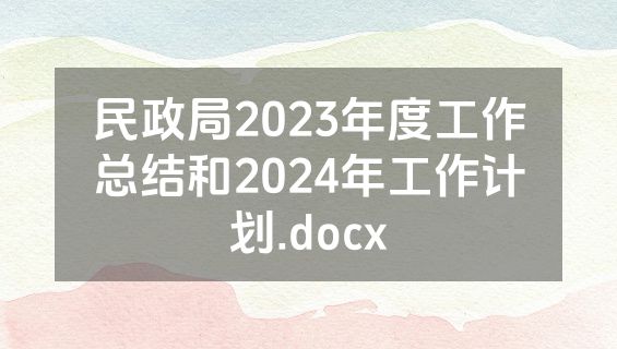 民政局2023年度工作总结和2024年工作计划.docx
