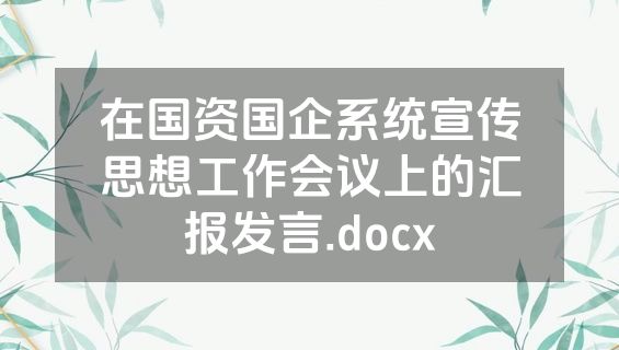 在国资国企系统宣传思想工作会议上的汇报发言.docx