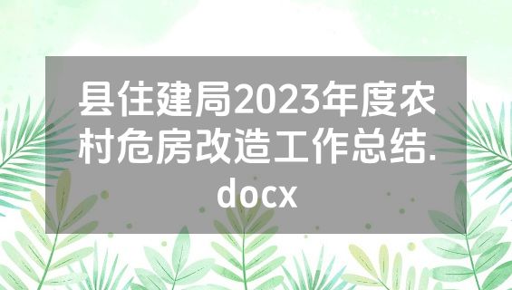 县住建局2023年度农村危房改造工作总结.docx