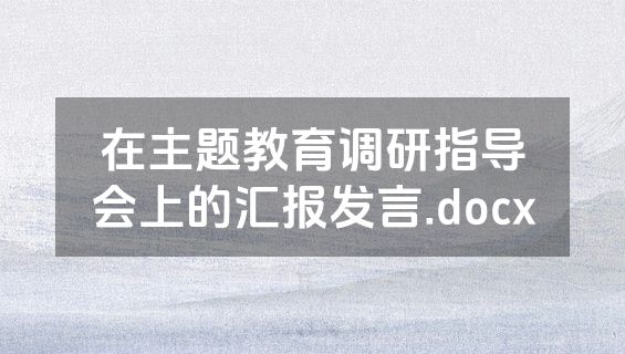 在主题教育调研指导会上的汇报发言.docx