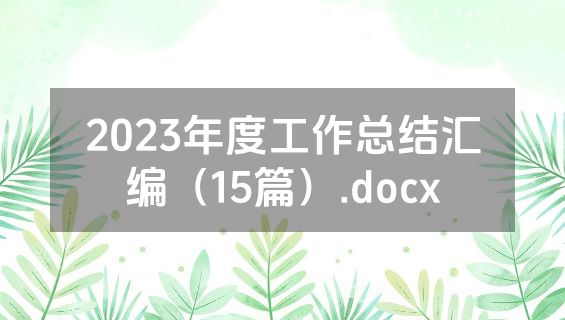 2023年度工作总结汇编（15篇）.docx