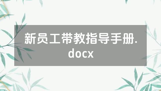 新员工带教指导手册.docx