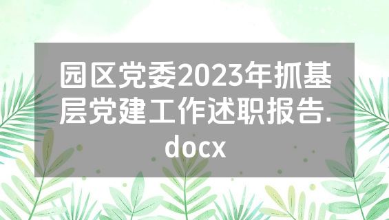 园区党委2023年抓基层党建工作述职报告.docx