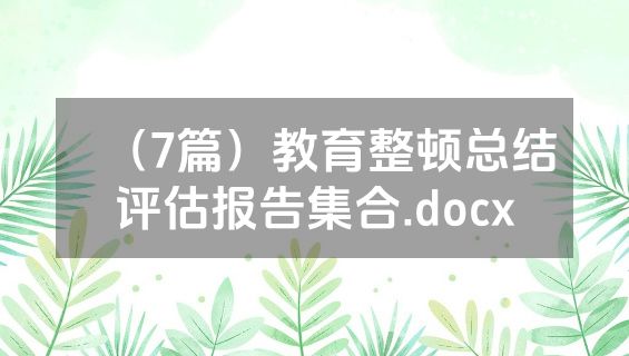 （7篇）教育整顿总结评估报告集合.docx