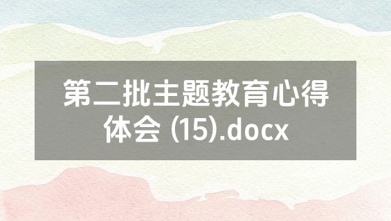 第二批主题教育心得体会 (15).docx