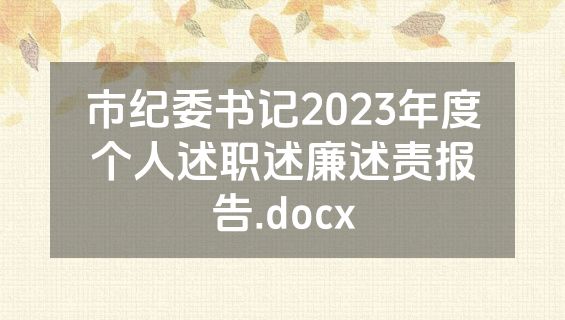 市纪委书记2023年度个人述职述廉述责报告.docx