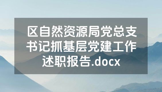 区自然资源局党总支书记抓基层党建工作述职报告.docx