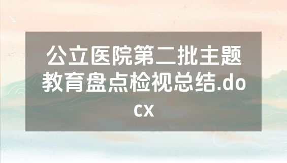 公立医院第二批主题教育盘点检视总结.docx