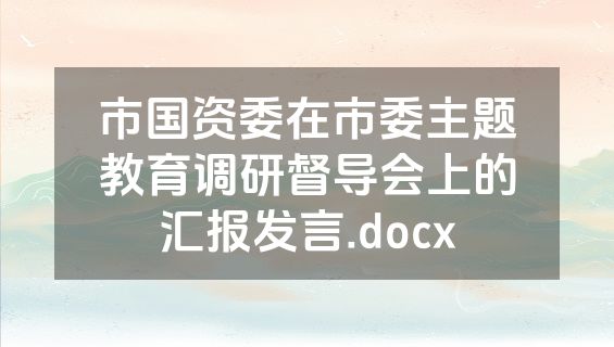 市国资委在市委主题教育调研督导会上的汇报发言.docx
