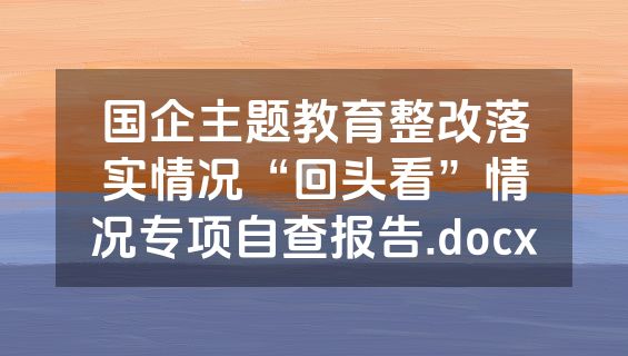 国企主题教育整改落实情况“回头看”情况专项自查报告.docx