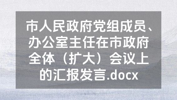 市人民政府党组成员、办公室主任在市政府全体（扩大）会议上的汇报发言.docx