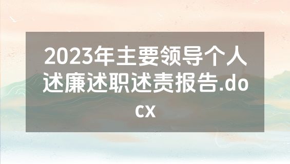 2023年主要领导个人述廉述职述责报告.docx