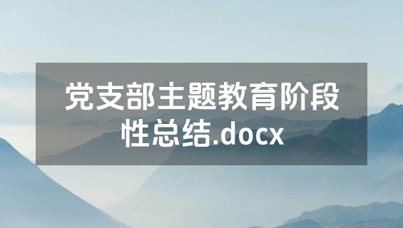 党支部主题教育阶段性总结.docx