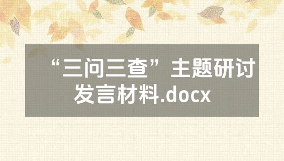 “三问三查”主题研讨发言材料.docx