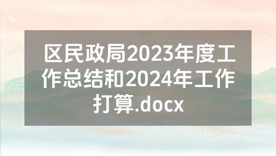 区民政局2023年度工作总结和2024年工作打算.docx
