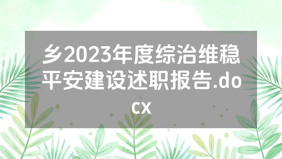 乡2023年度综治维稳平安建设述职报告.docx