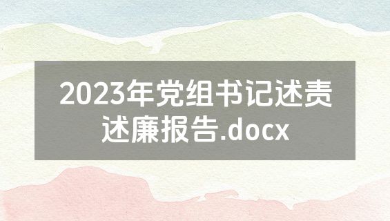 2023年党组书记述责述廉报告.docx