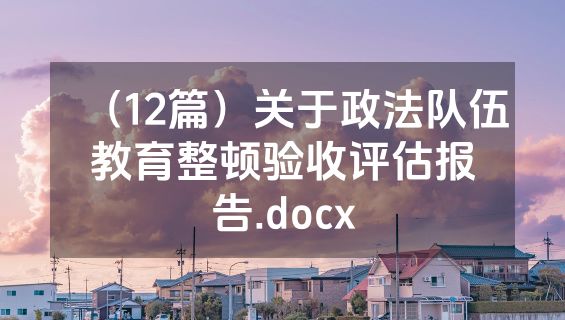 （12篇）关于政法队伍教育整顿验收评估报告.docx