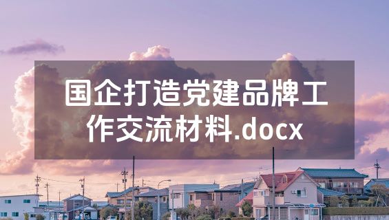 国企打造党建品牌工作交流材料.docx