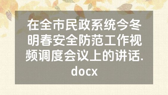 在全市民政系统今冬明春安全防范工作视频调度会议上的讲话.docx