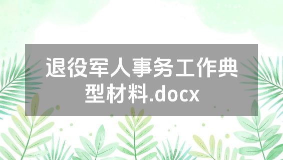 退役军人事务工作典型材料.docx