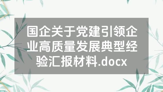 国企关于党建引领企业高质量发展典型经验汇报材料.docx