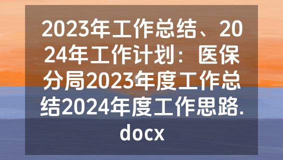 2023年工作总结、2024年工作计划：医保分局2023年度工作总结2024年度工作思路.docx