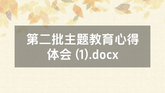 第二批主题教育心得体会 (1).docx