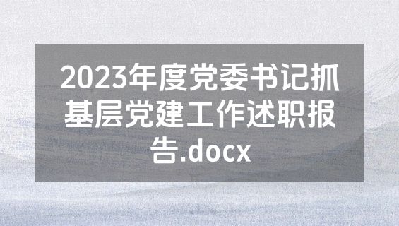 2023年度党委书记抓基层党建工作述职报告.docx