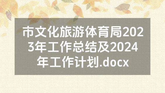 市文化旅游体育局2023年工作总结及2024年工作计划.docx