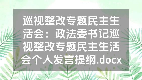 巡视整改专题民主生活会：政法委书记巡视整改专题民主生活会个人发言提纲.docx