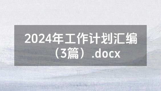 2024年工作计划汇编（3篇）.docx