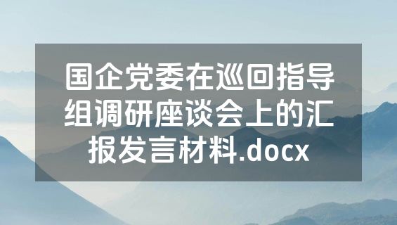 国企党委在巡回指导组调研座谈会上的汇报发言材料.docx