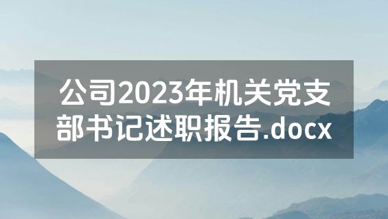 公司2023年机关党支部书记述职报告.docx