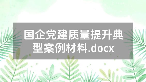 国企党建质量提升典型案例材料.docx